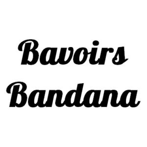 Bavoirs bandana